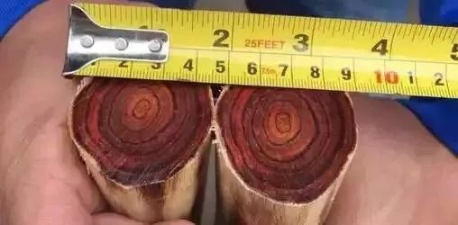 国标红木29种高清图,29种国标红木排名及价格