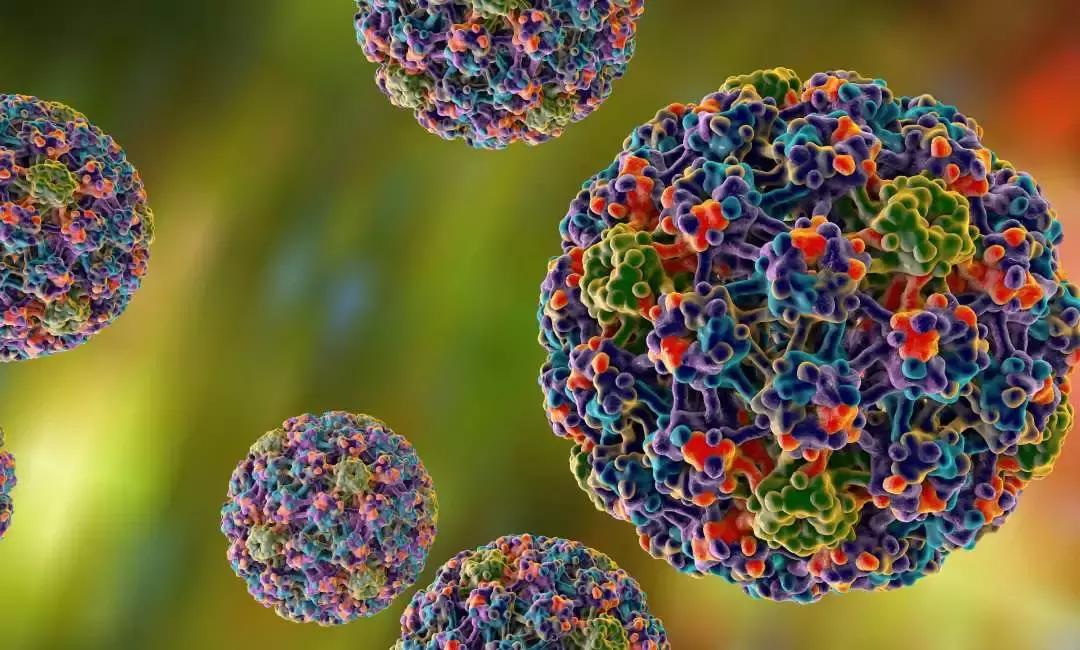 一针难求的九价宫颈疫苗,一针难求