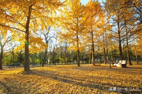 大连有一个蓝色的小城堡景点,大连秋季旅游景点攻略大全