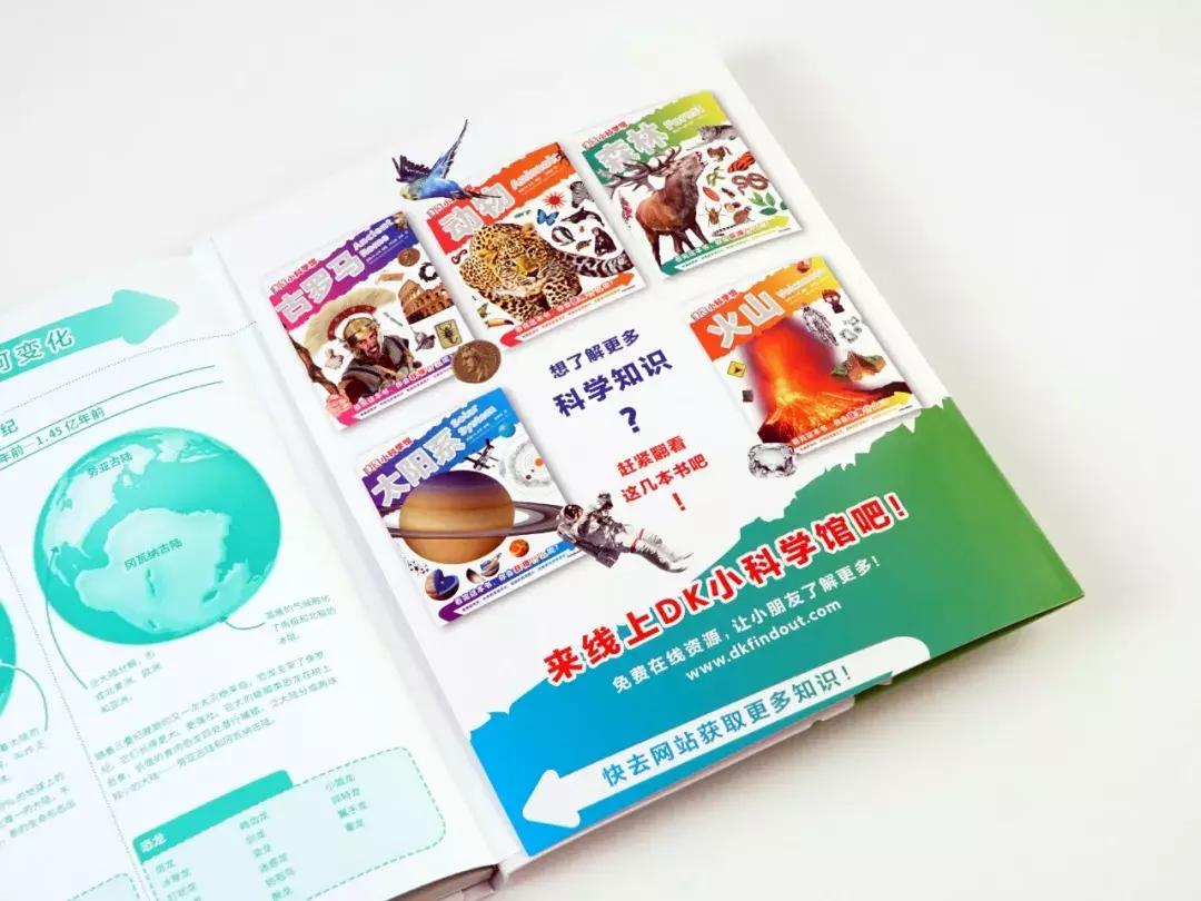 被封神的DK儿童科普书籍，到底哪些值得读？建议家长入手前看这篇