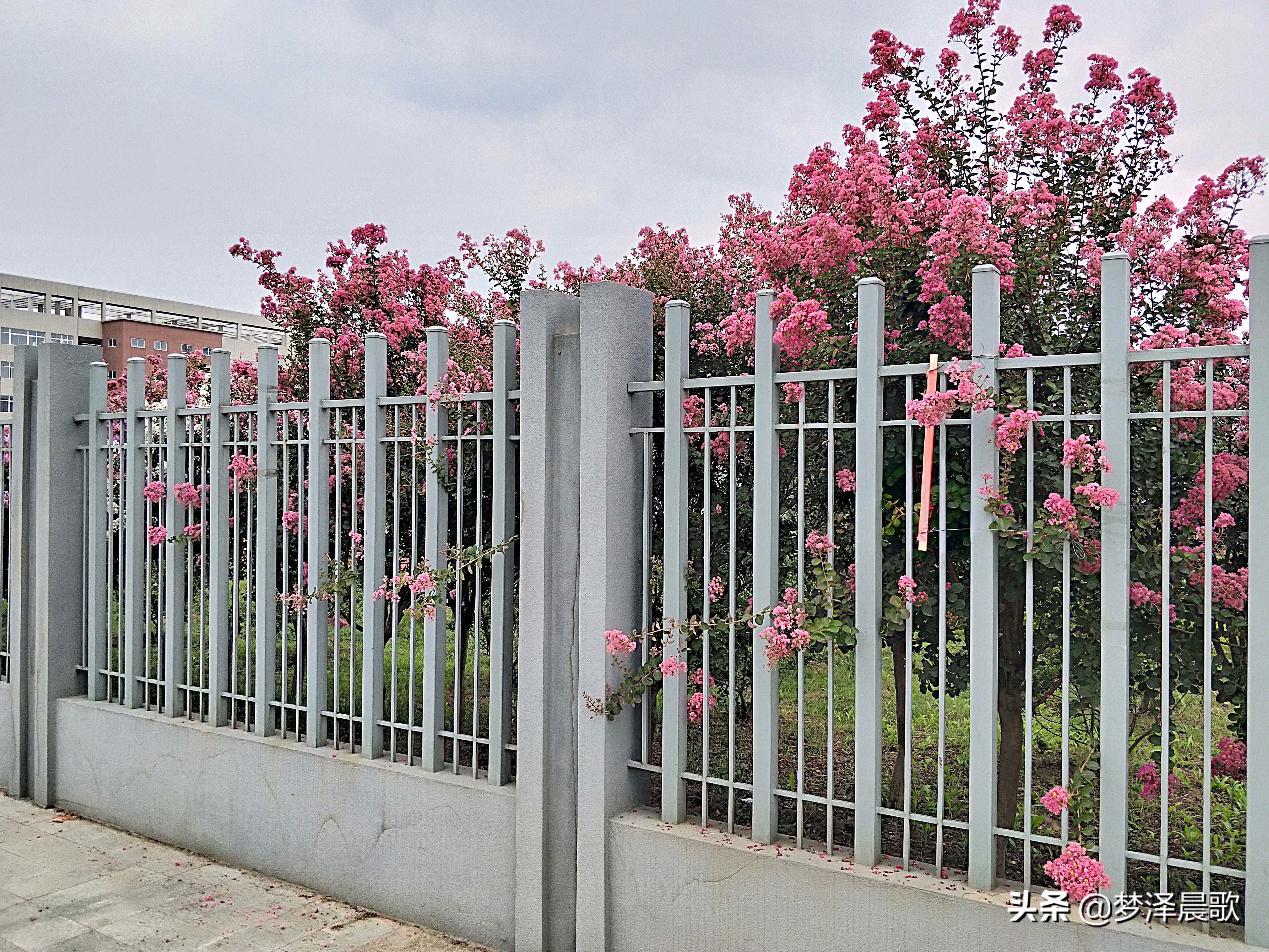 云梦县黄香小学好吗,云梦县黄香小学全貌图