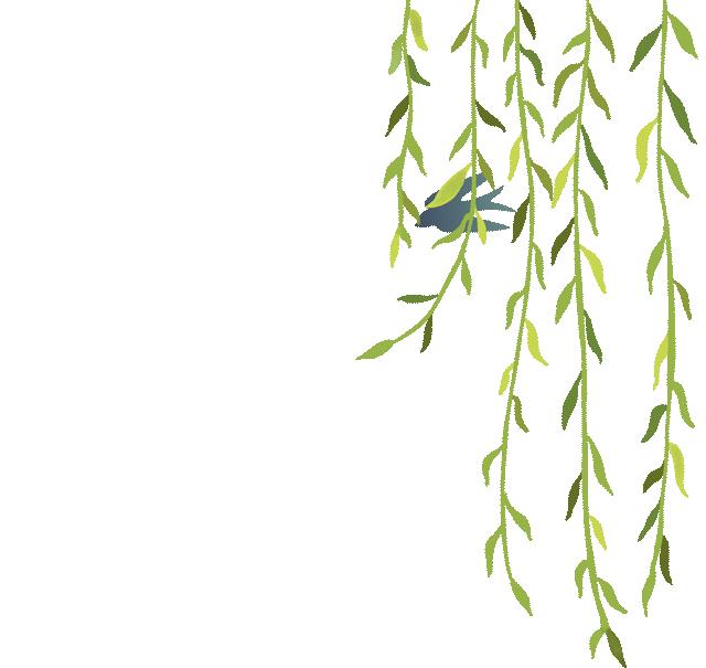 全省体育与健康优质课评选,江苏省小学体育与健康优秀课评选