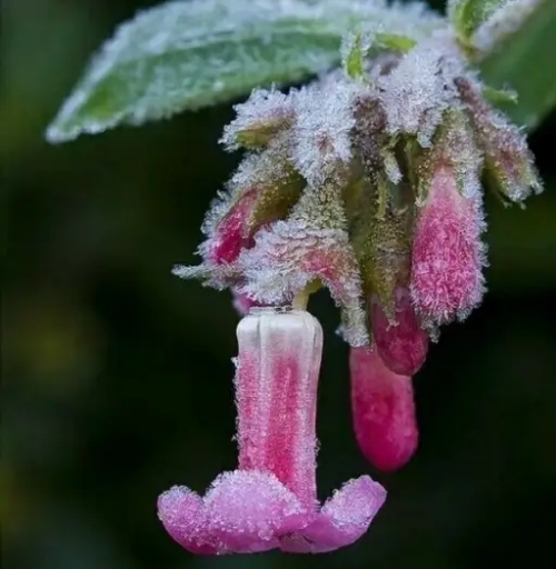 轻轻的冬天来了,冬天来了的短句美文