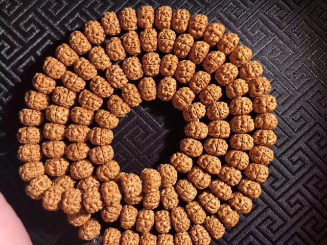 金刚菩提有什么套路,小心驶得万年船是什么意思