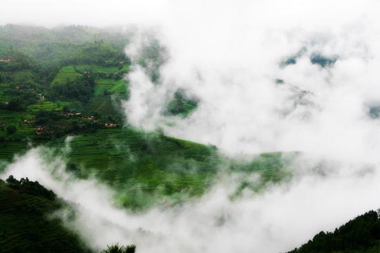 龙润茶产品集锦,深度分析龙润茶