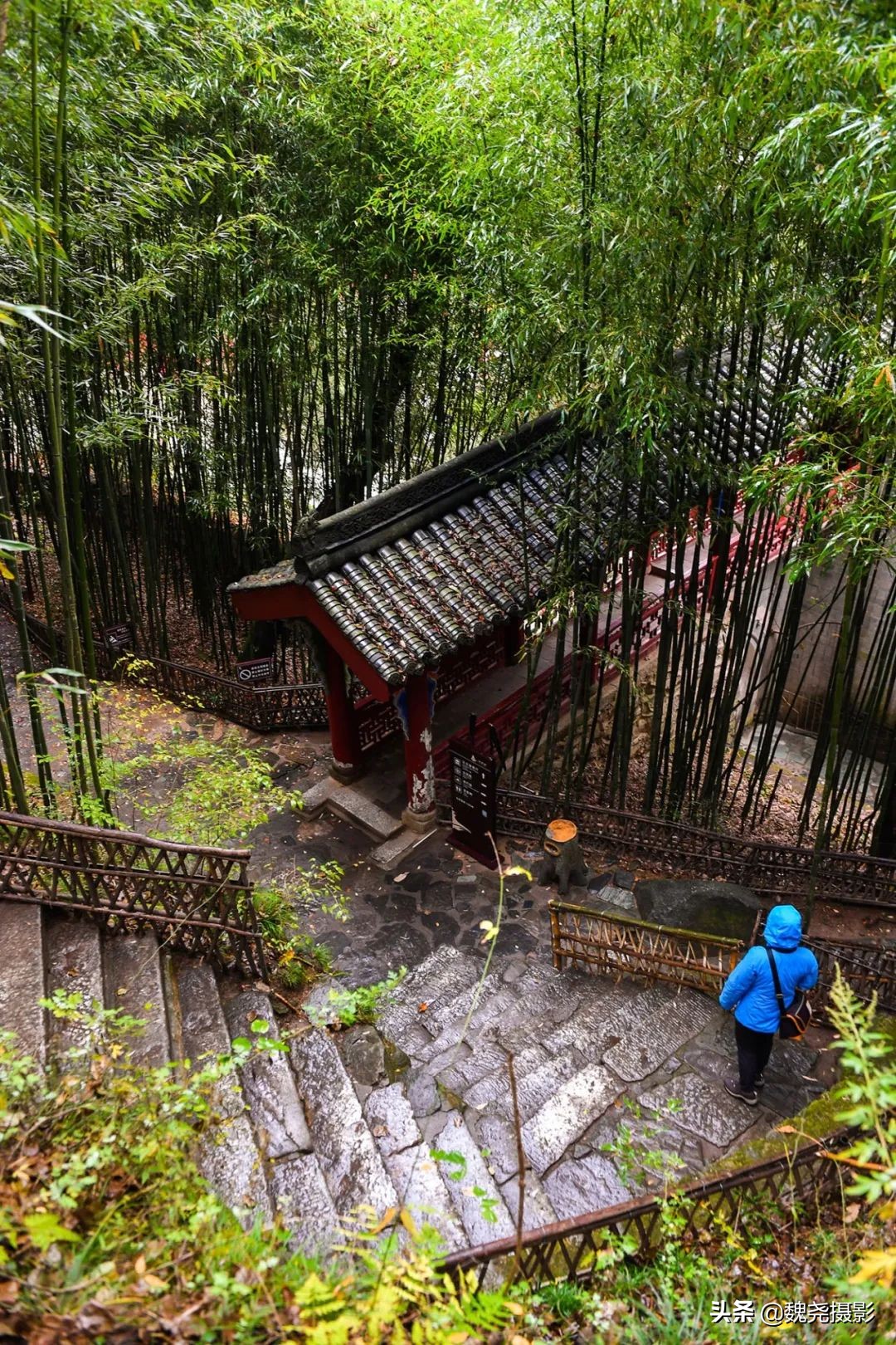 留坝秦岭之夜,留坝秦岭森林公园