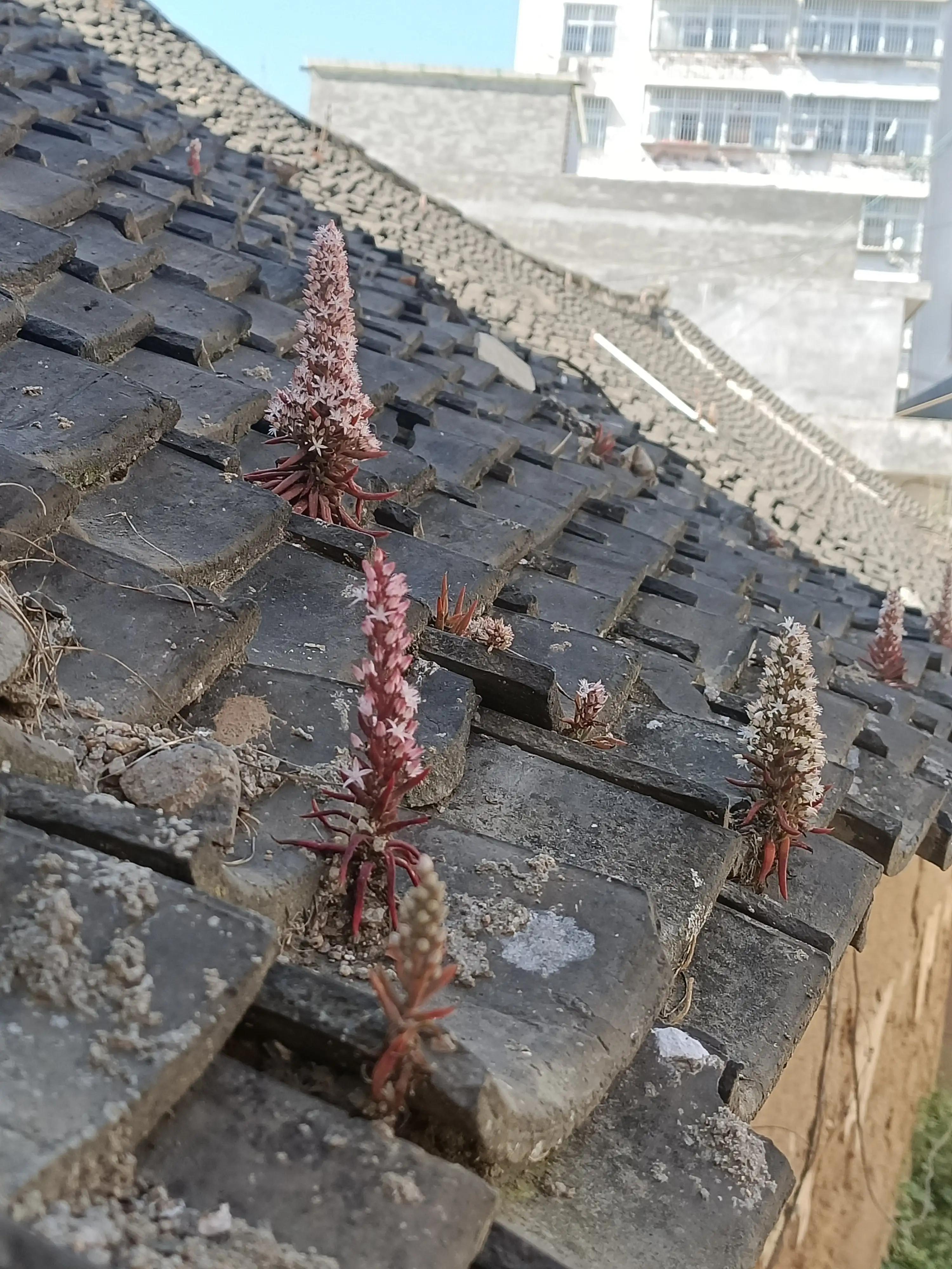 随笔惊艳风景,随笔美好的一瞬间