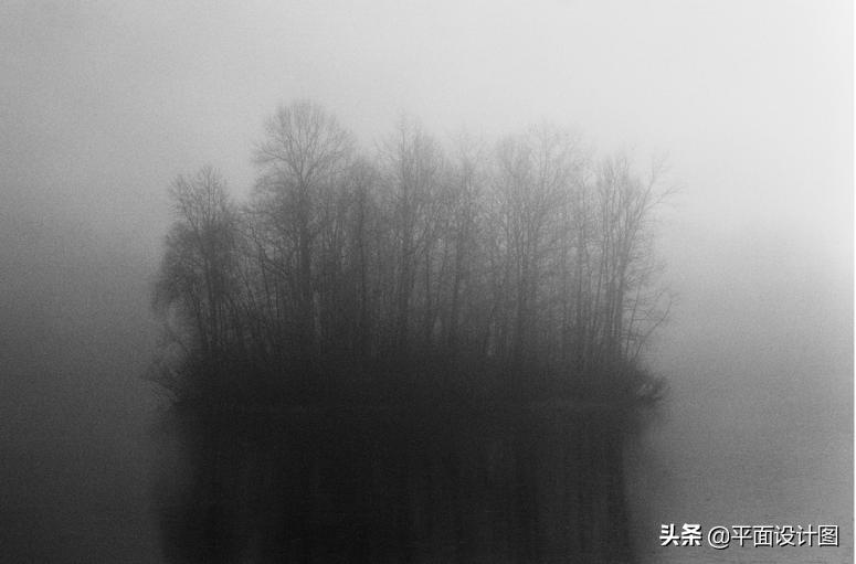 如何正确使用对焦技巧,怎么对焦