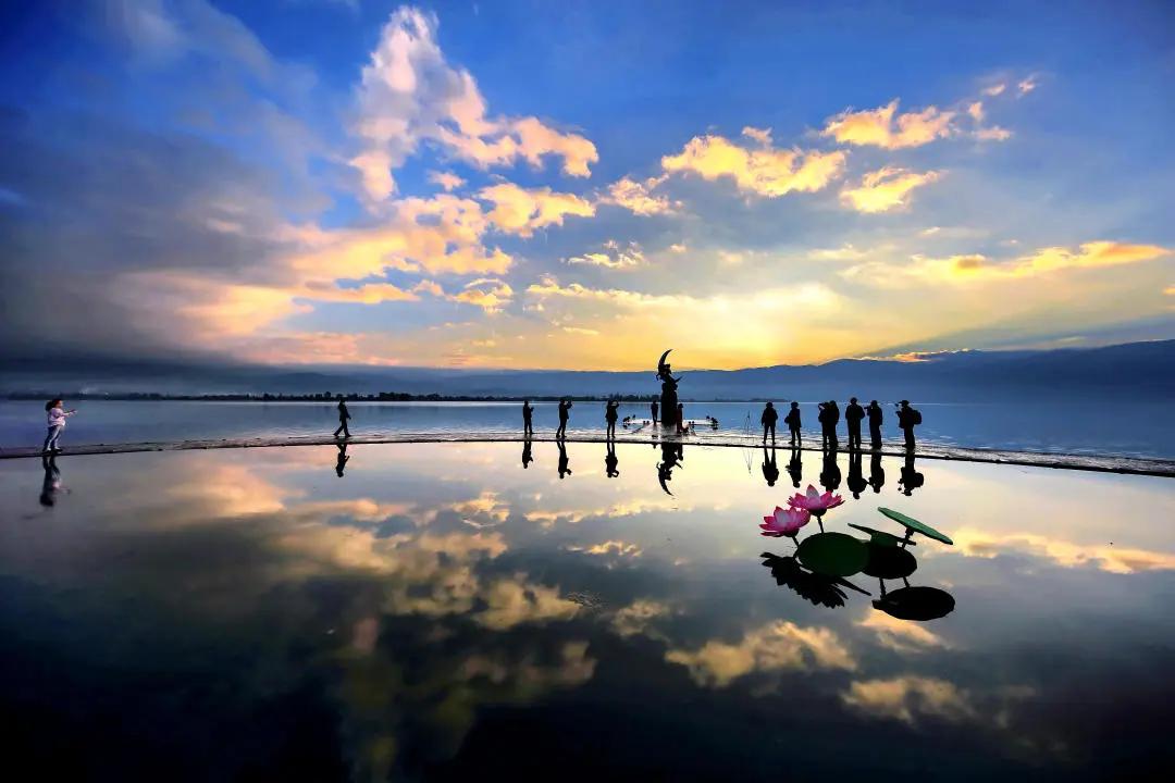 西昌邛海湿地的网红打卡树风景,邛海最美景点