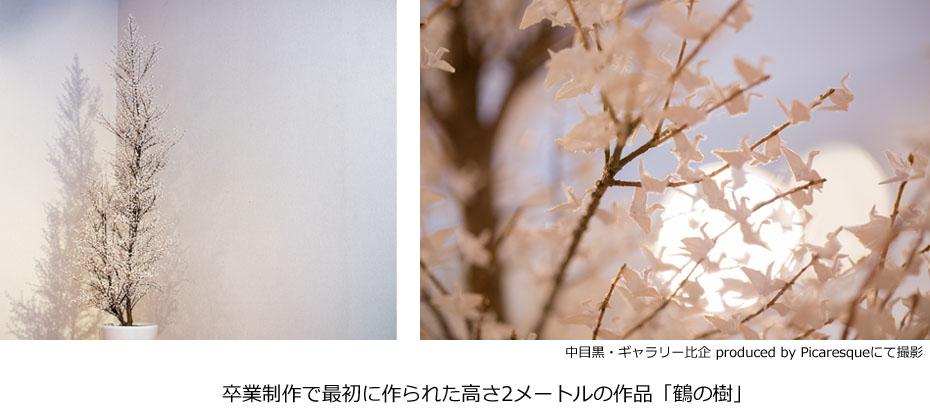 杭州95后小伙折纸山海经千纸鹤,日本折千纸鹤的纸