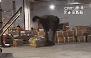 日本的快递是哪里来的,日本哪个快递最便宜