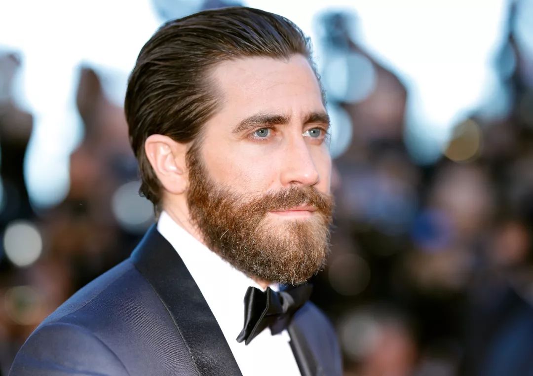 jakegyllenhaal中文名,jakegyllenhaal和霉霉