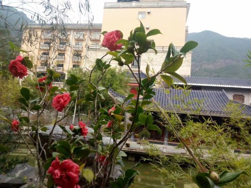 海丰莲花山仙人洞风景区,探索仙人洞