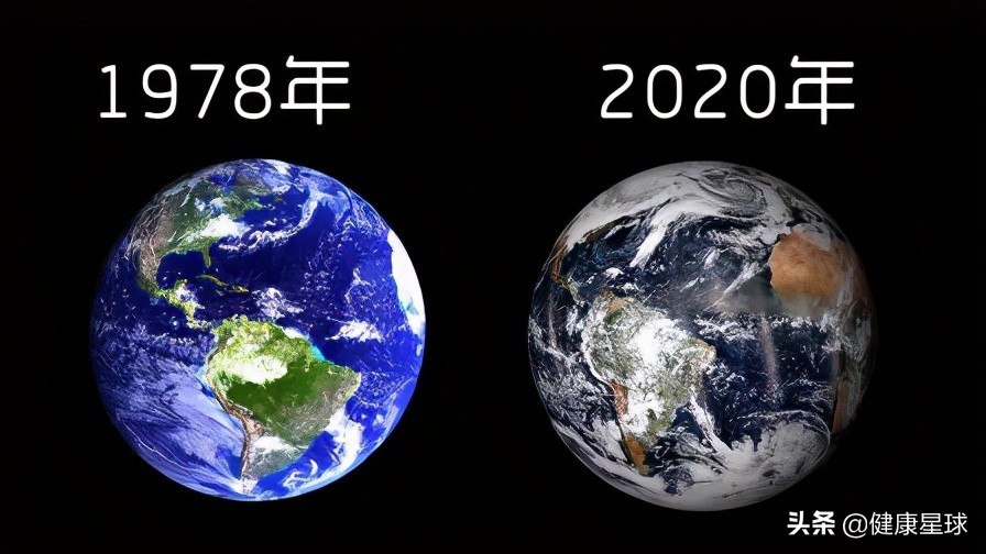 这一次不再沉默，为健康的地球发声，为未来负责