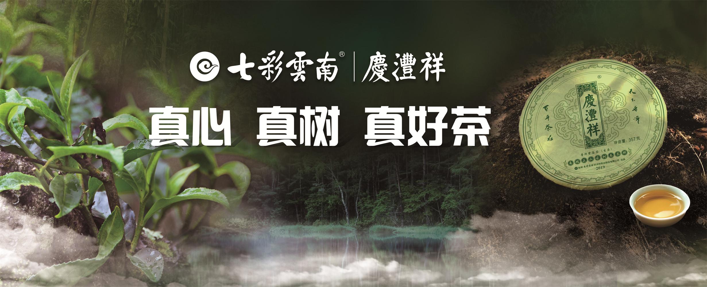 用古树普洱茶致敬美好生活，看吴晓波是如何解读“百山百味”的？