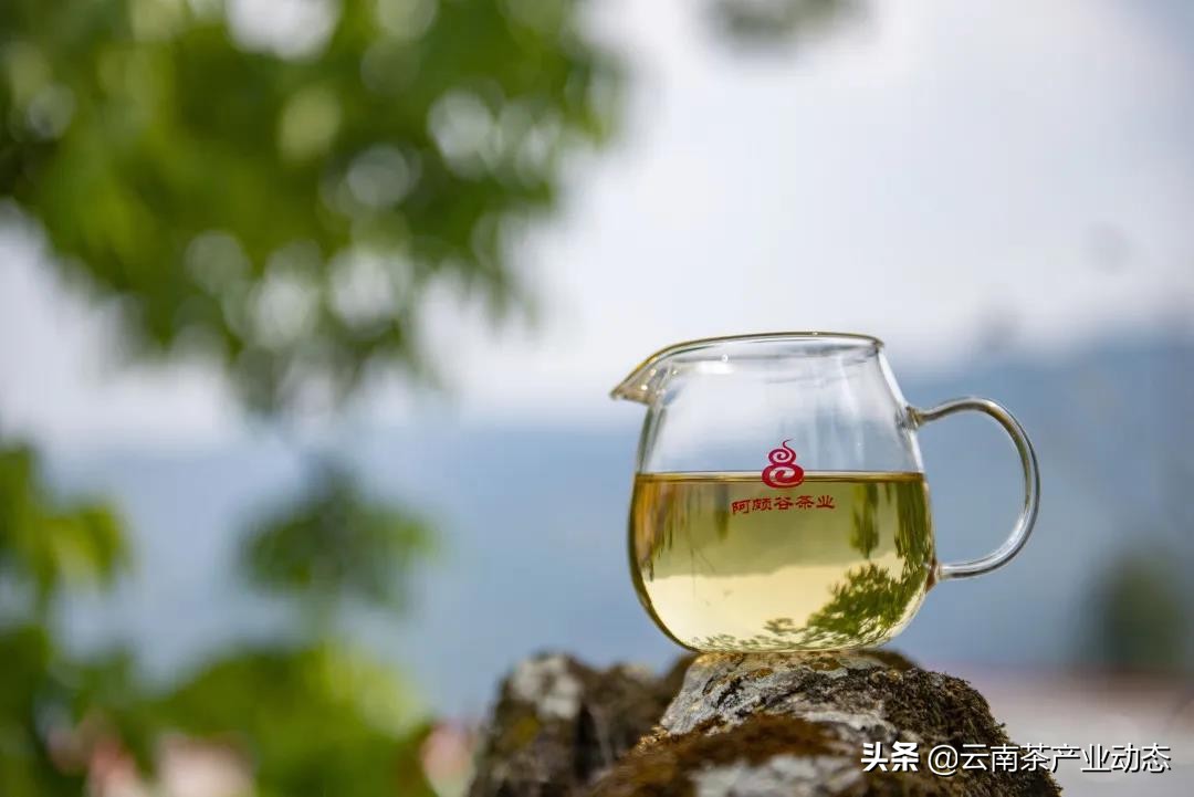 谷雨茶是什么,谷雨茶是什么用处的茶