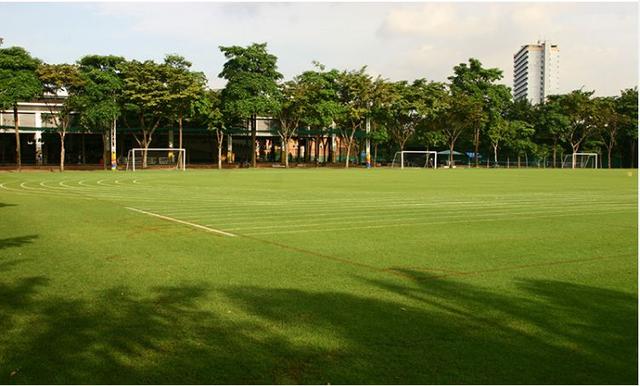 想做房产相关的工作,中国人购买泰国房产需要什么条件