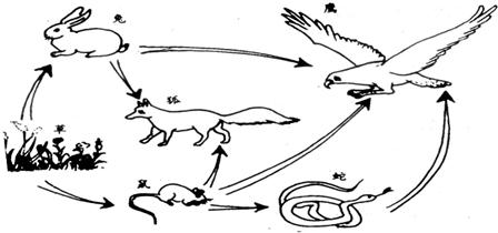 蛇为啥咬人人为什么怕蛇,大蛇与女子同居15年