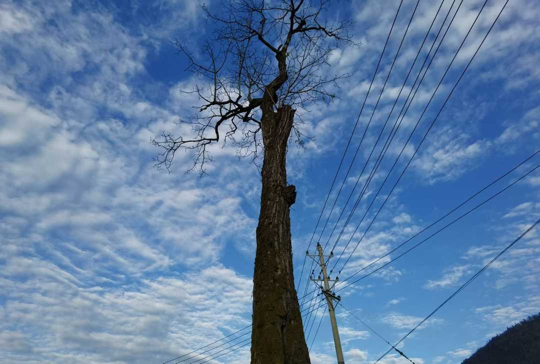 乙肝携带者阻断母婴传播,如何更好地阻断三病母婴传播