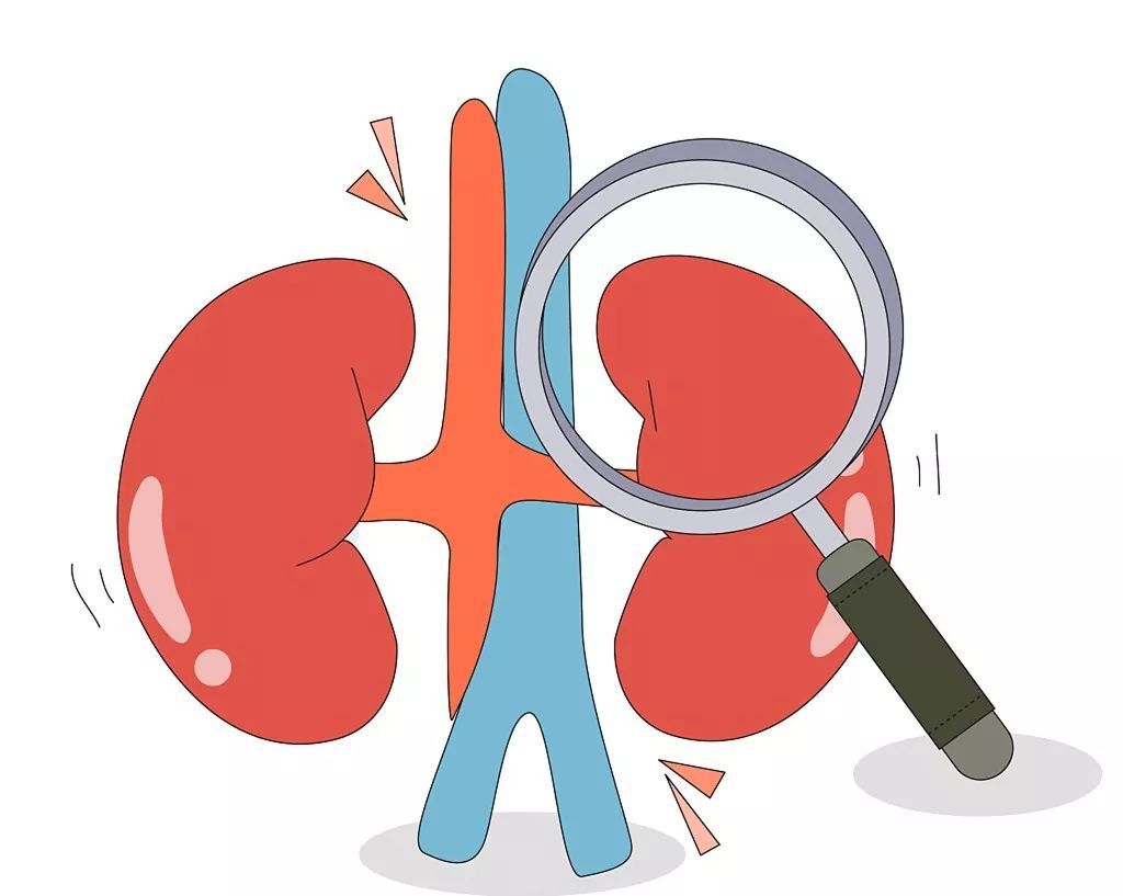 睾丸精索静脉曲张有点疼痛,蛋蛋胀疼是精索静脉曲张吗