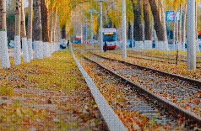 东北三省最适合宜居的城市,东北三省宜居养老城市