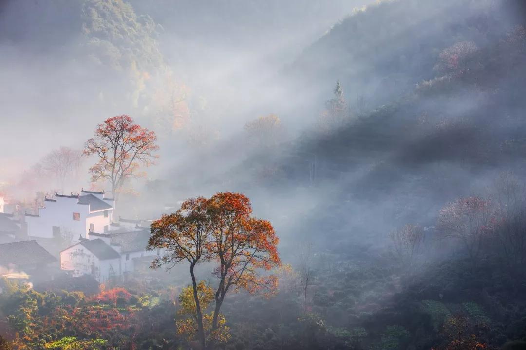 看透世态炎凉的诗词,看透了人情冷暖世态炎凉的诗句