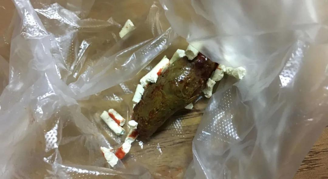 铲屎官必知猫咪如何排便算正常,猫咪铲屎官必备常识