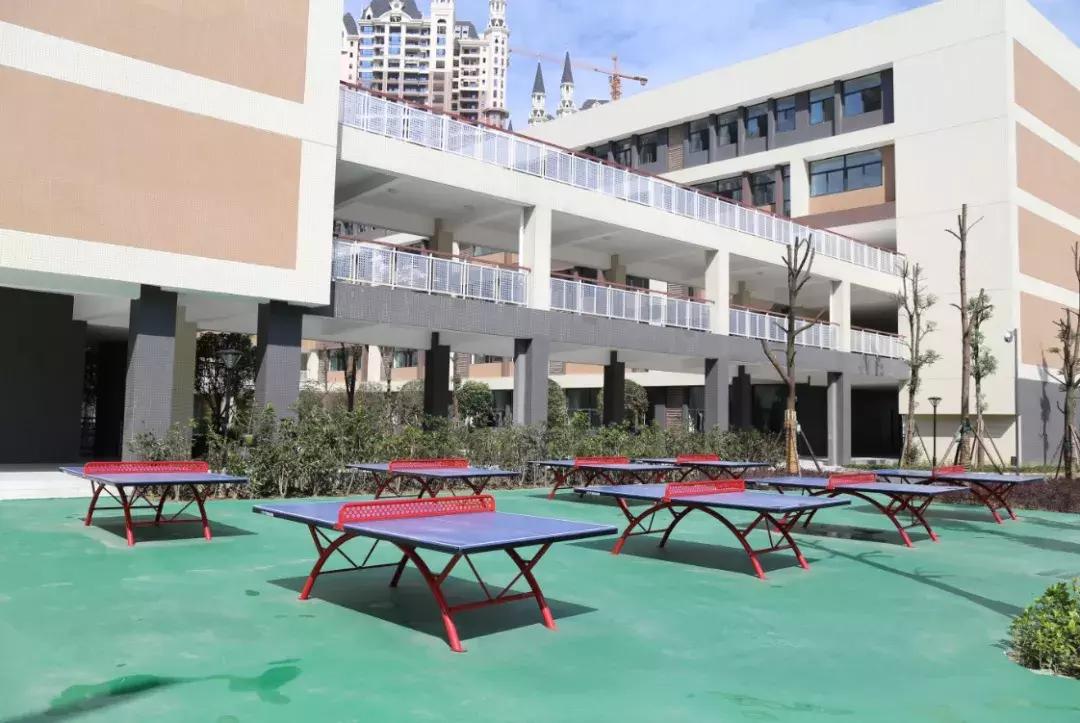 成都名校剖析|五朵金花之一银都小学