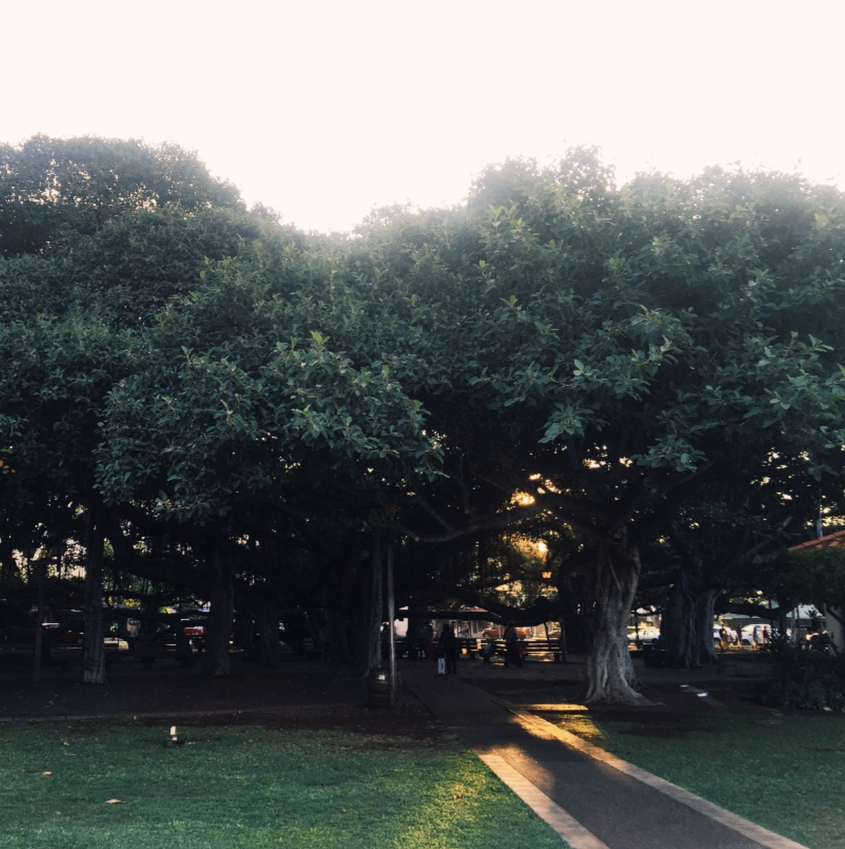 香港疫情状态,香港疫情官方最新消息今天