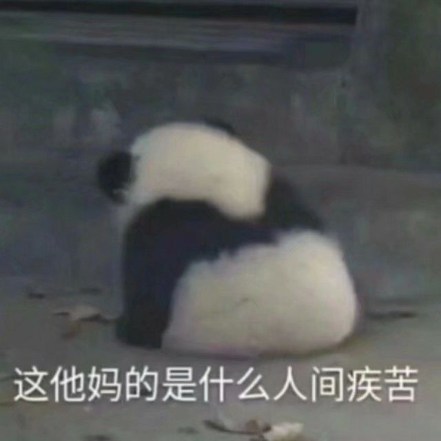 当代大学生的智商，全都用来取沙雕群名了...