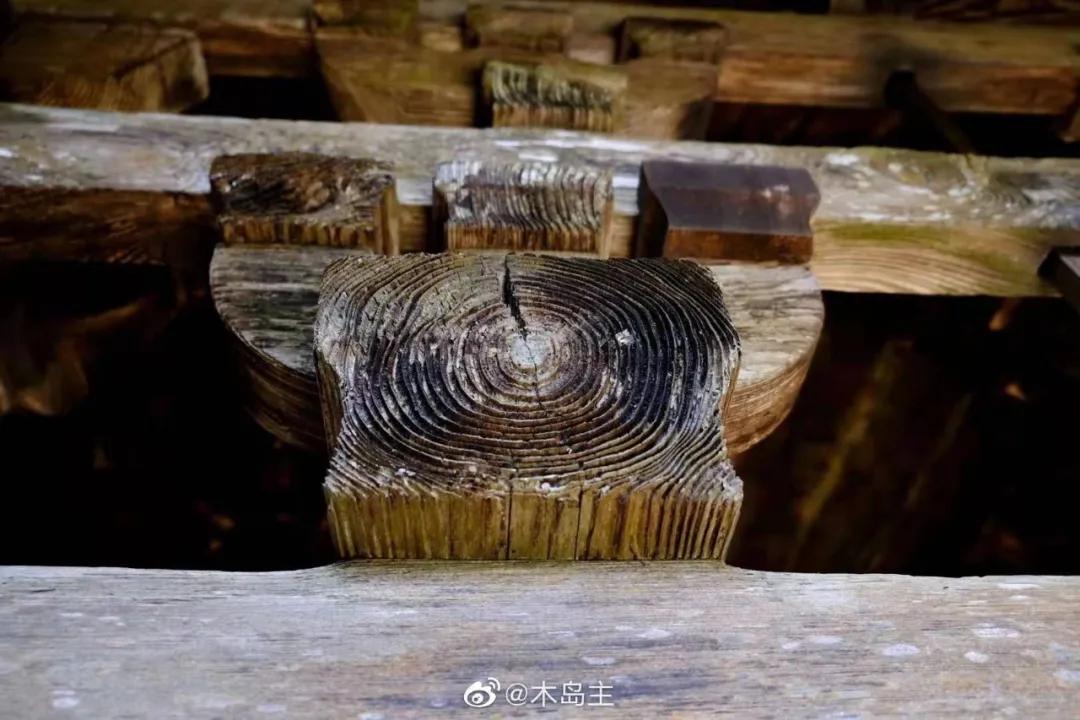 有着双重人生的小城青田，你对它的实力一无所知