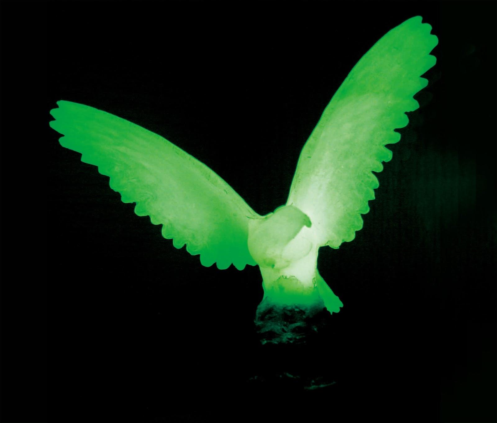 高荧光低荧光中荧光是什么意思,荧光怎么产生的