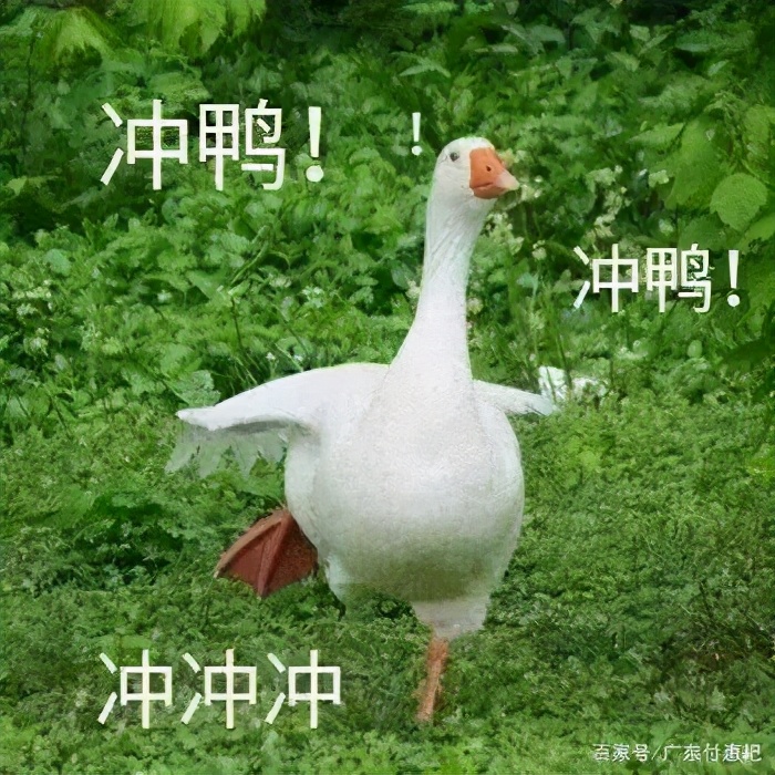 广东人必须知道的东西,广东有哪些很多人不知道的好东西