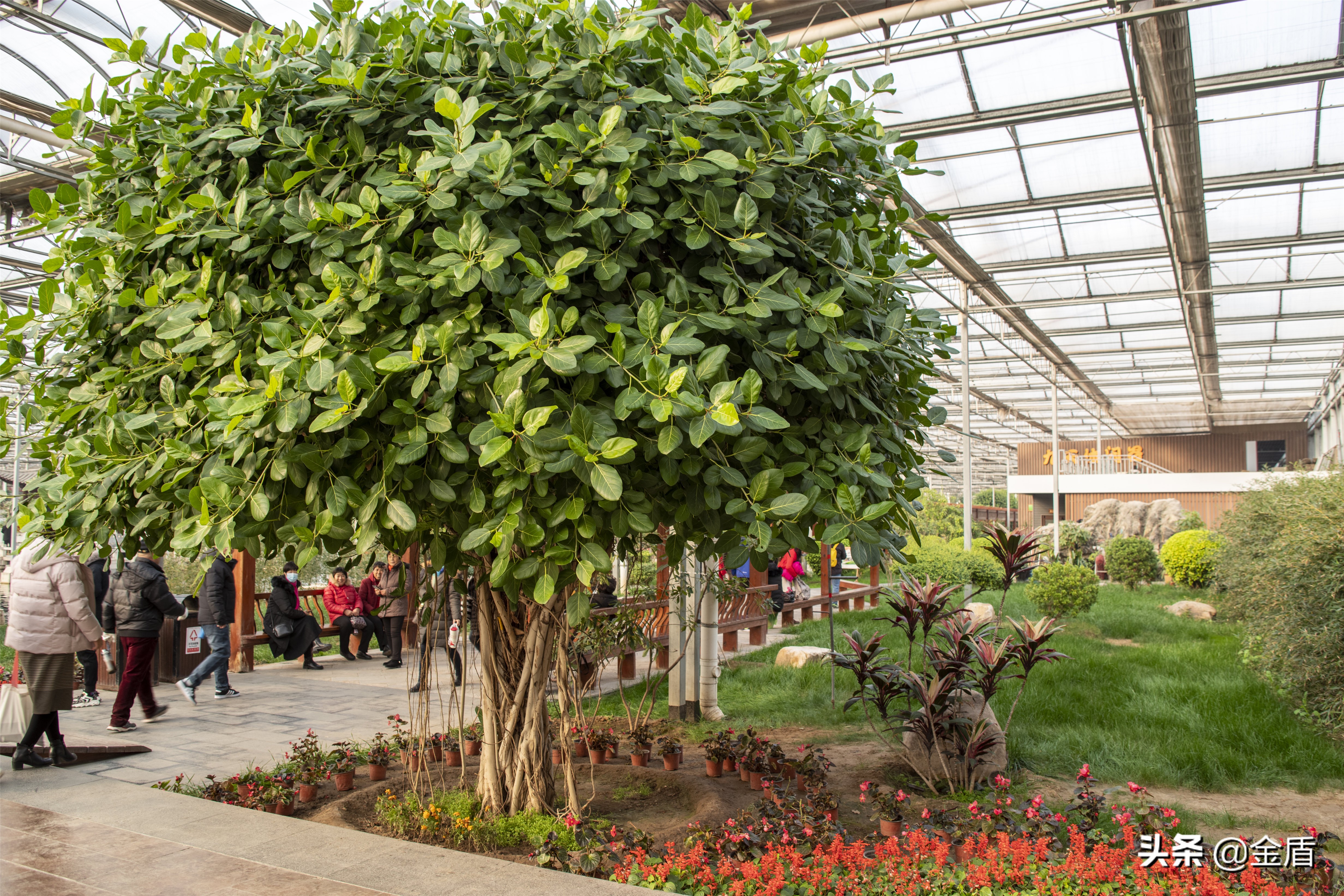 九天休闲谷附近景点大全,九天休闲谷一日游玩