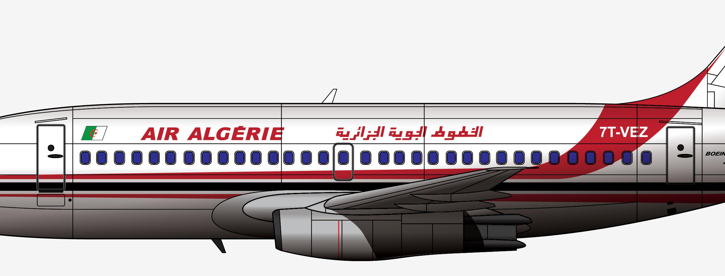 各自为阵，忆阿尔及利亚航空AH6289航班2003.3.6塔曼拉斯塞特空难