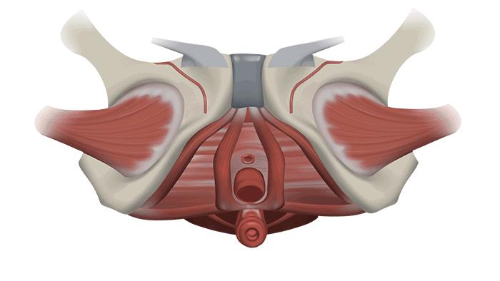 张雨绮怎么瘦成吴谨言了,张雨绮瘦的时候