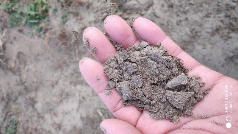国庆节乌兰布统草原怎么样,乌兰布统草原之旅近期