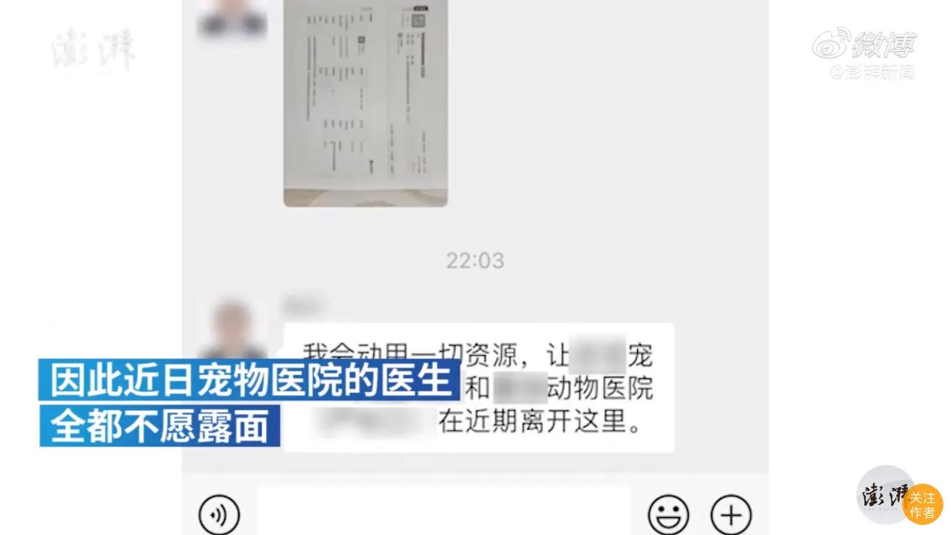金毛被男子疯狂虐待，志愿者被威胁报复，有些人内心到底有多黑暗