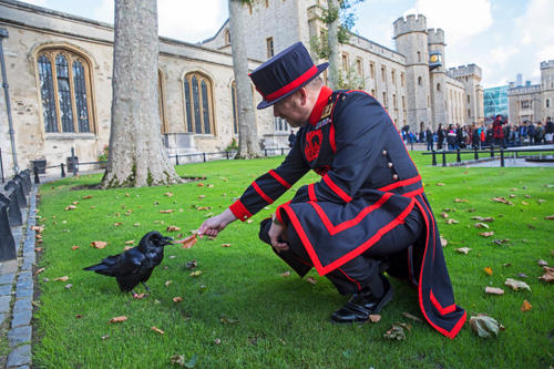 绅士照片英伦,绅士图片大全高清图