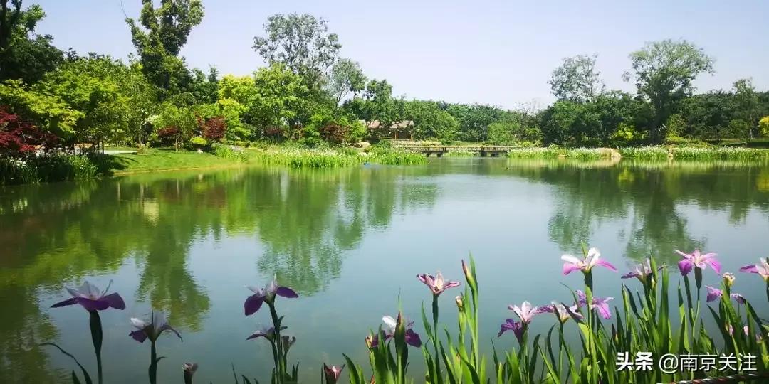 南京市溧水区三叶梦华苑,溧水梦华苑最新消息