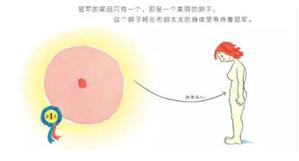 家长们，别再羞答答了，快亲手替孩子填上“*启蒙性**”这个坑吧！