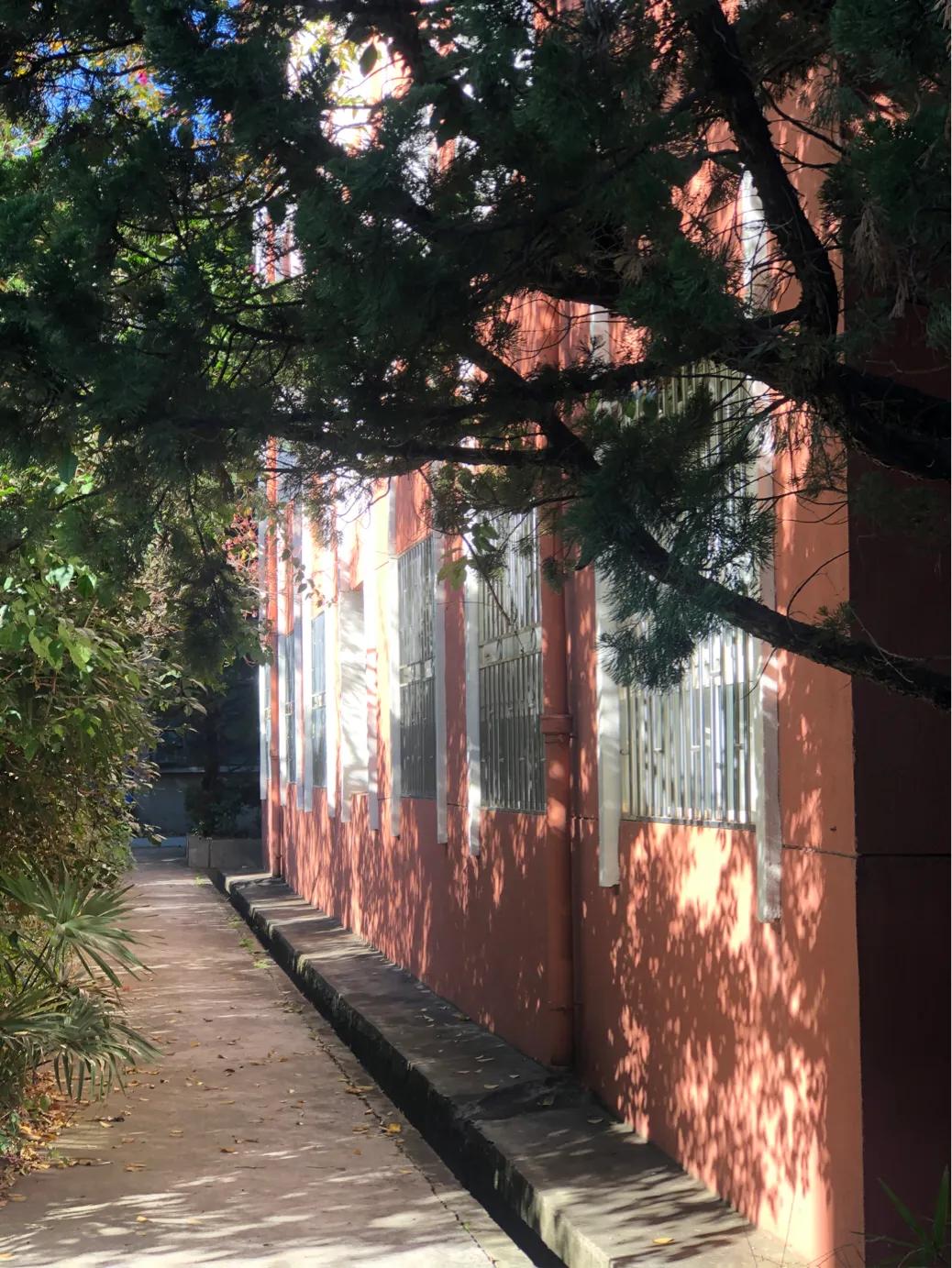 不该消失的电影,昆四中属于什么档次