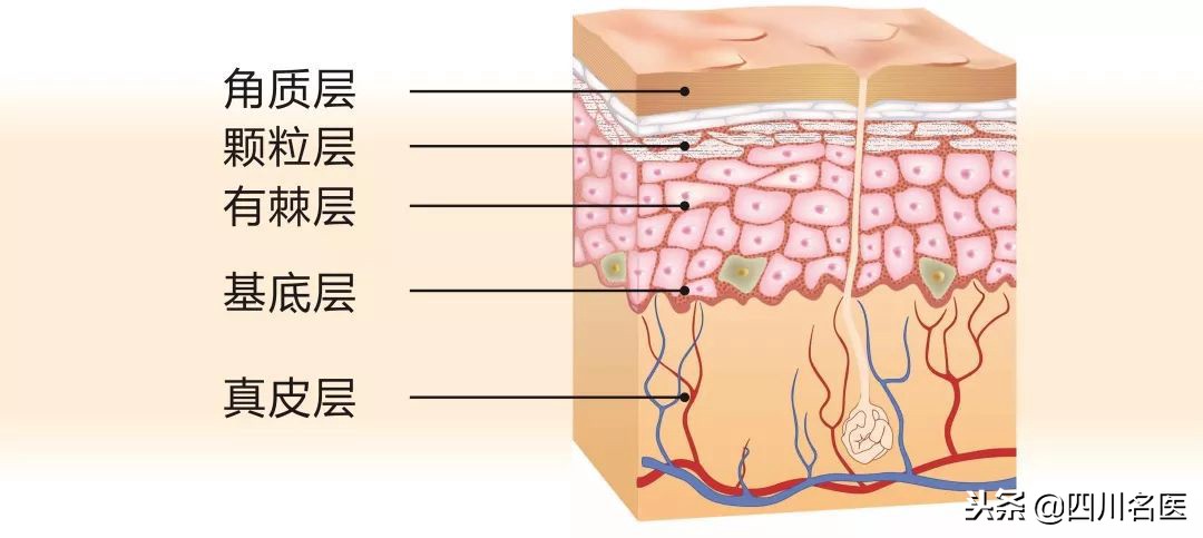 秋冬季补水保湿方法,秋季干性皮肤的补水方法