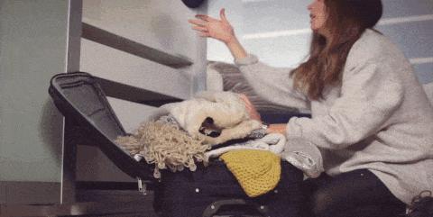 干湿分离旅行包100元左右,干湿分离旅行包