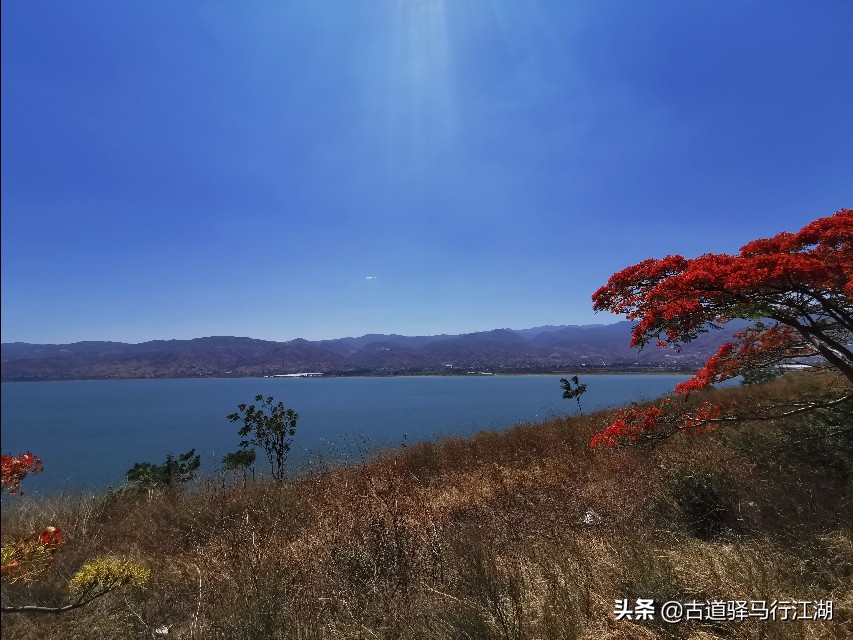 成也螺旋藻，败也螺旋藻～这个中国唯一的湖泊，未来该何去何从？