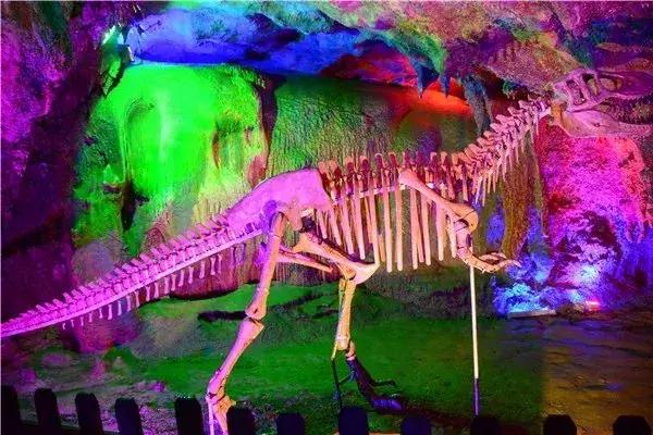 广州三八妇女节特惠景点晚上,广州哪里有三八妇女节免费景点