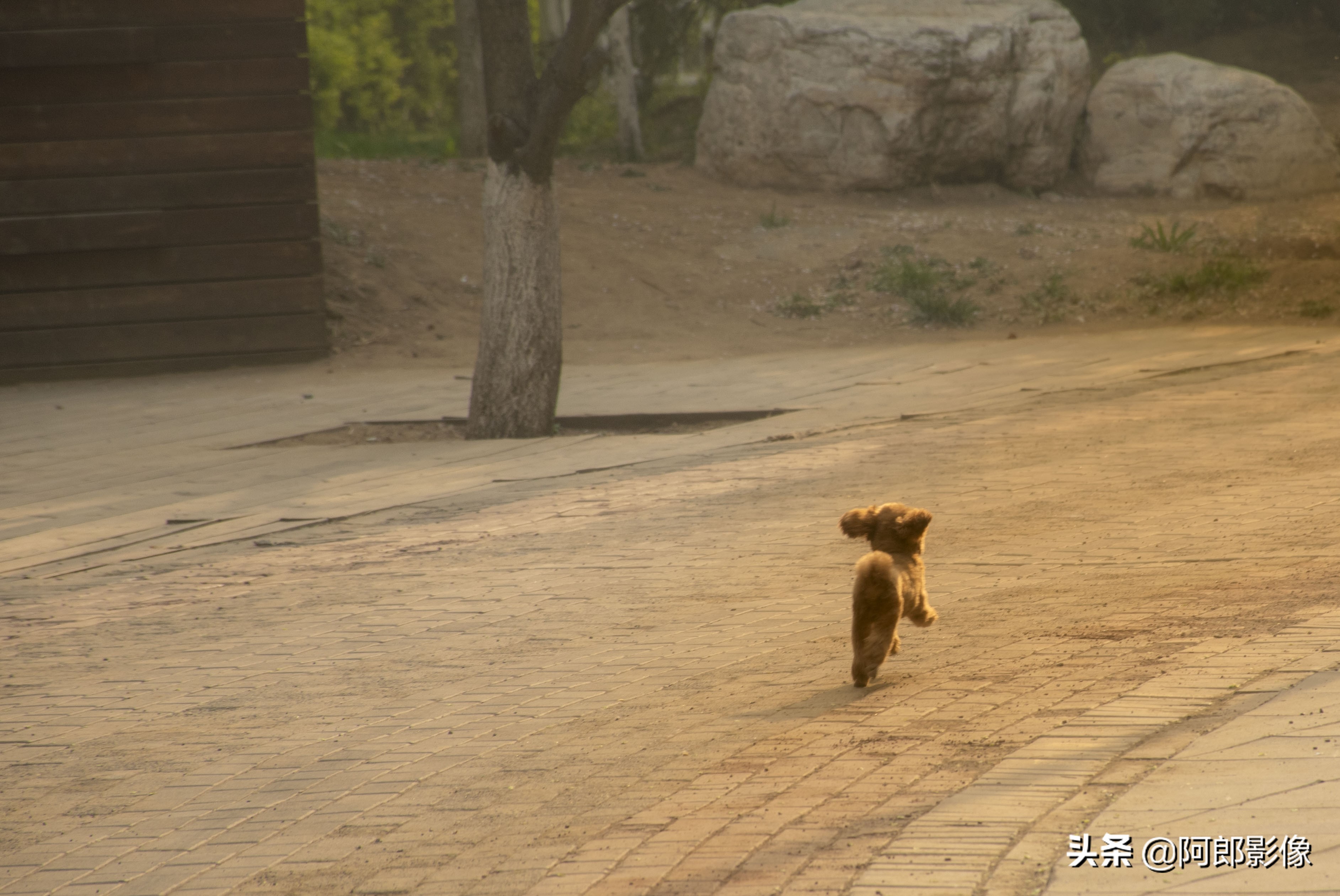 跟着阿东学摄影,跟着阿牛师傅学知识