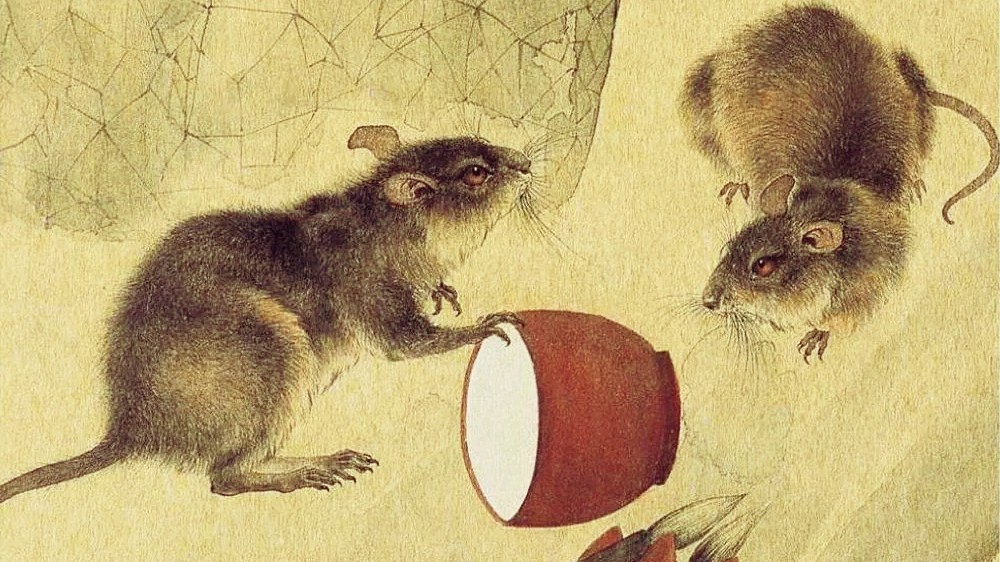 老鼠为什么能成为十二生肖之首,为什么说老鼠才是十二生肖的老大