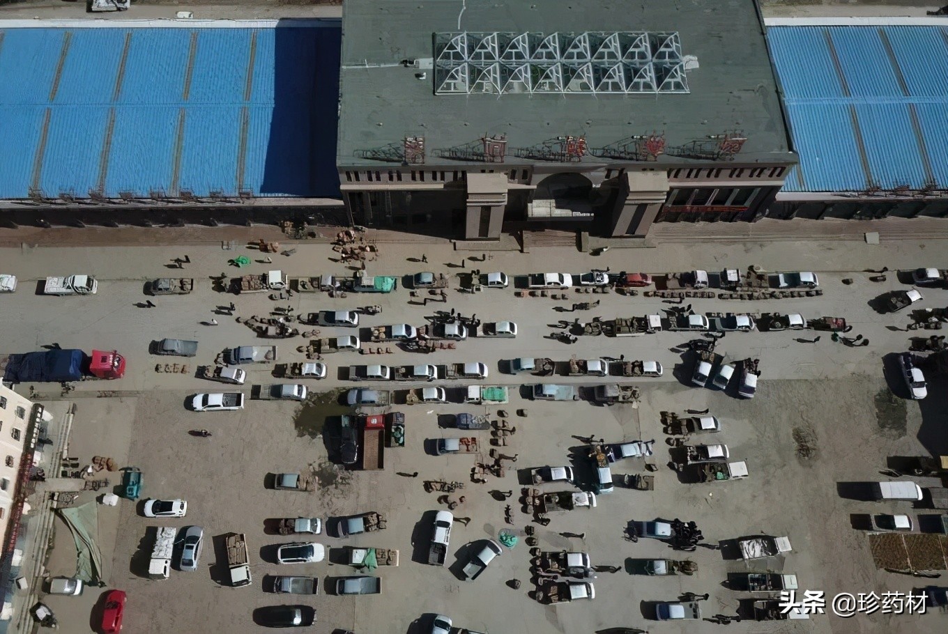 药材产地行情日报,2020年7月药材市场药材价格快讯