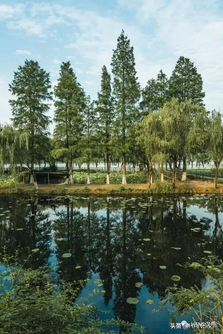 汉口夏天,汉口夏日